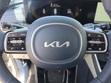 2026 Kia Carnival Hybrid EX Oshkosh WI