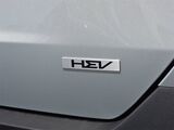 2026 Kia Carnival Hybrid EX Oshkosh WI
