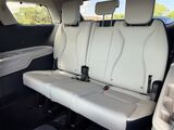 2026 Kia Carnival Hybrid EX Oshkosh WI