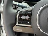 2026 Kia Carnival Hybrid EX Oshkosh WI