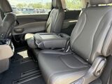 2026 Kia Carnival Hybrid EX Oshkosh WI