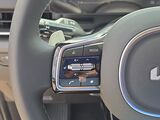 2026 Kia Carnival Hybrid EX Oshkosh WI