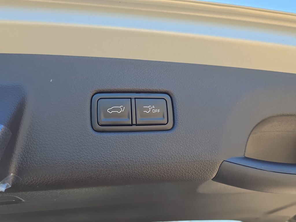2026 Kia Carnival Hybrid EX San Clemente CA
