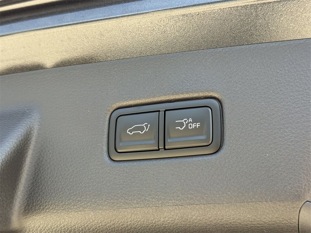 2026 Kia Carnival Hybrid EX San Clemente CA