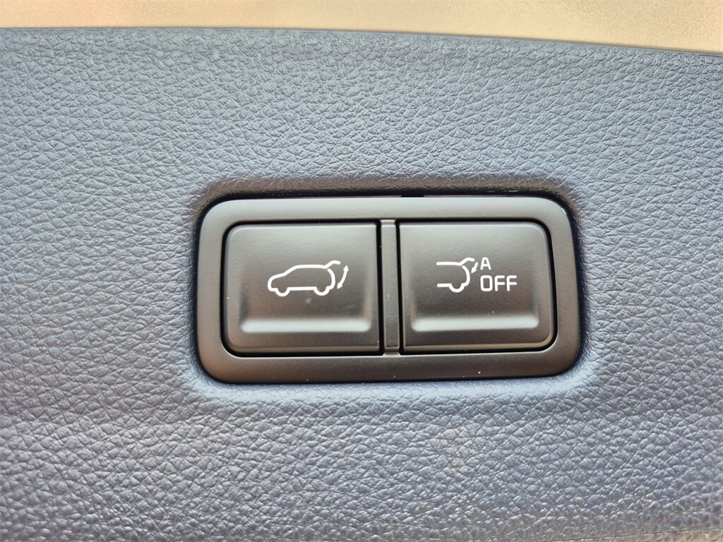 2026 Kia Carnival Hybrid EX San Clemente CA