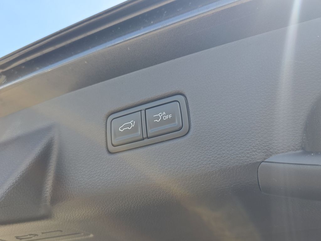2026 Kia Carnival Hybrid EX San Clemente CA