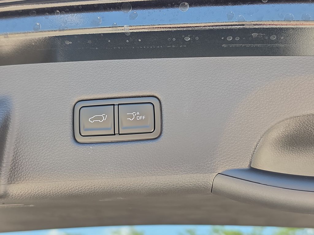 2026 Kia Carnival Hybrid EX San Clemente CA