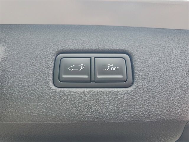 2026 Kia Carnival Hybrid EX St. Augustine FL
