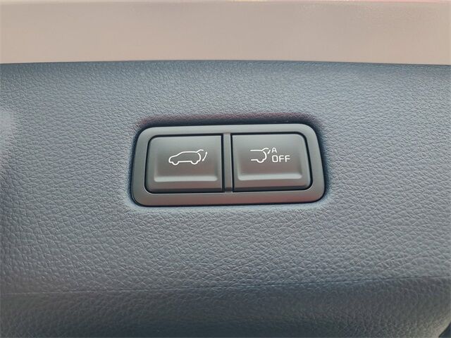 2026 Kia Carnival Hybrid EX St. Augustine FL
