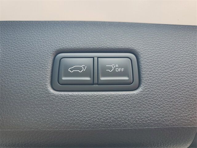 2026 Kia Carnival Hybrid EX St. Augustine FL