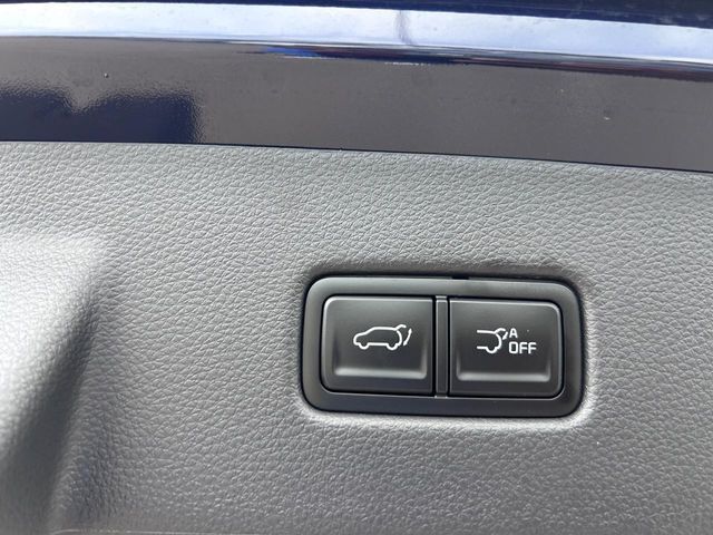 2026 Kia Carnival Hybrid EX Cape Girardeau MO