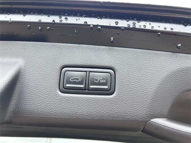 2026 Kia Carnival Hybrid EX Cape Girardeau MO