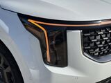 2026 Kia Carnival Hybrid SX Oshkosh WI