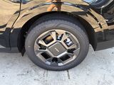 2026 Kia Carnival Hybrid SX Oshkosh WI