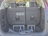2026 Kia Carnival Hybrid SX Oshkosh WI