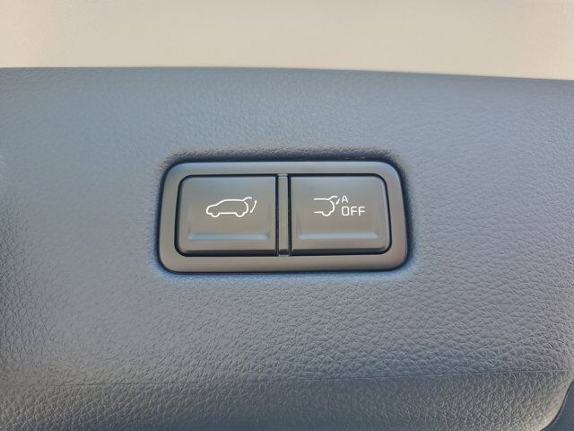 2026 Kia Carnival Hybrid SX Prestige St. Augustine FL