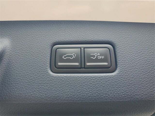 2026 Kia Carnival Hybrid SX Prestige St. Augustine FL