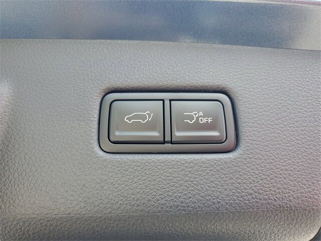 2026 Kia Carnival Hybrid SX Prestige St. Augustine FL