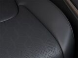 2026 Kia Carnival Hybrid SX San Diego County CA