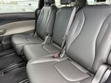 2026 Kia Carnival LXS Oshkosh WI