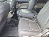 2026 Kia Carnival LXS Oshkosh WI