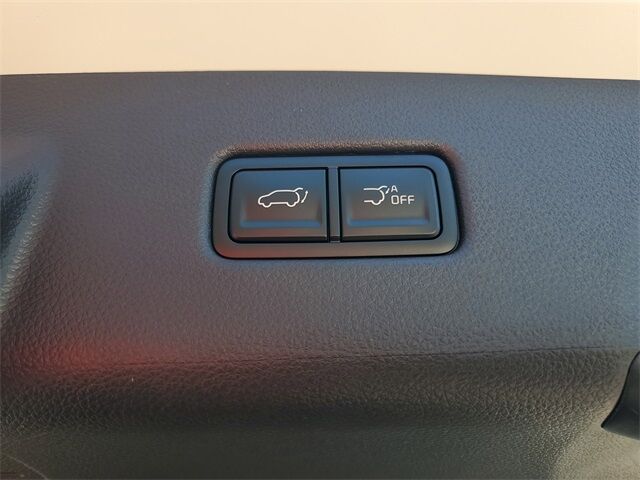 2026 Kia Carnival MPV SX Prestige St. Augustine FL