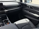 2026 Kia Carnival SX Prestige Oshkosh WI