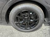 2026 Kia Carnival SX Prestige Oshkosh WI