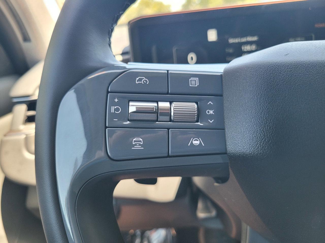 2026 Kia EV9 LIGHT LONG RANGE Roseville CA