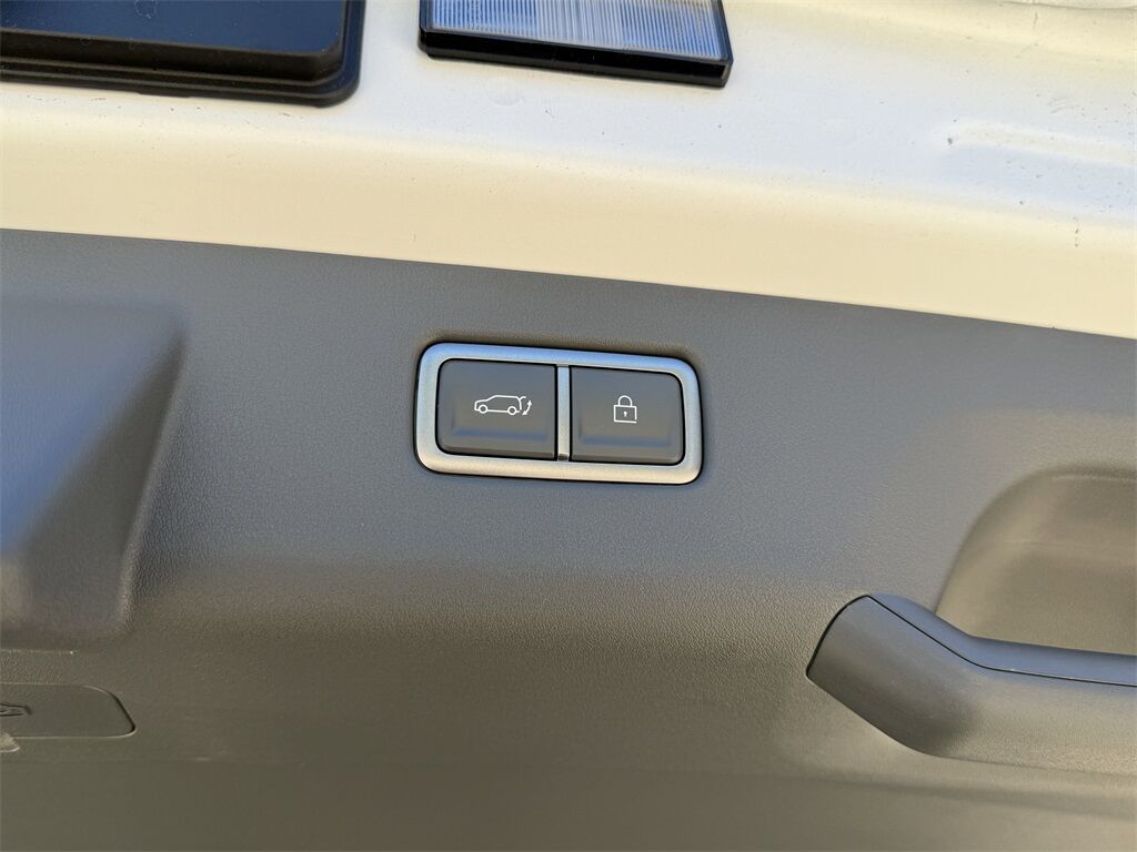 2026 Kia EV9 Light San Clemente CA