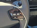 2026 Kia Niro EV Wave Oshkosh WI