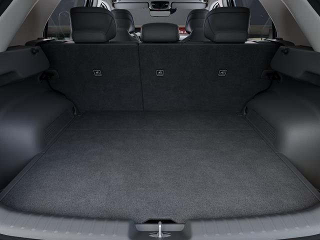 2026 Kia Niro EV Wave Tucson AZ