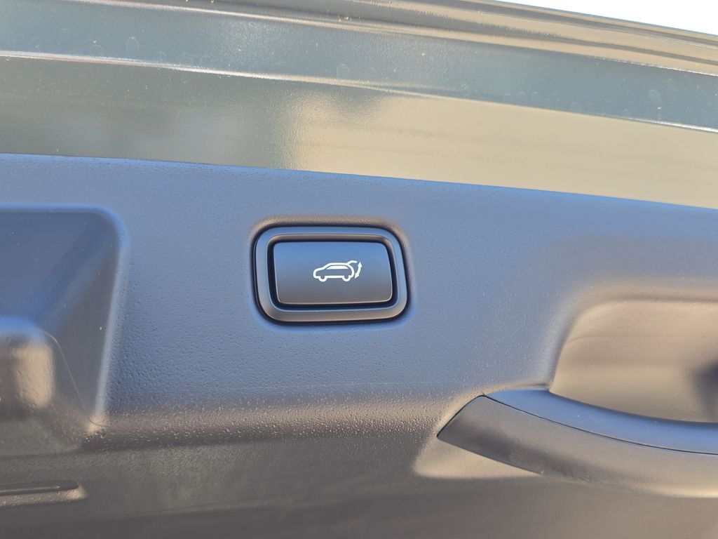 2026 Kia Niro EV Wind San Clemente CA