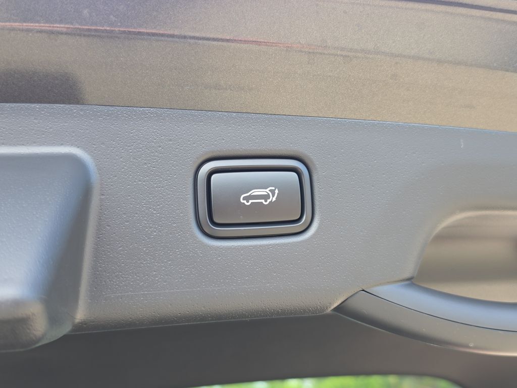 2026 Kia Niro EV Wind San Clemente CA