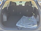 2026 Kia Sportage Hybrid LX Oshkosh WI