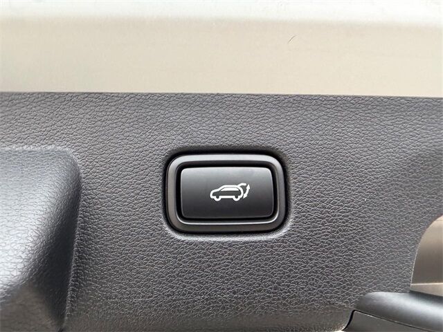 2026 Kia Sportage X-Line Cape Girardeau MO