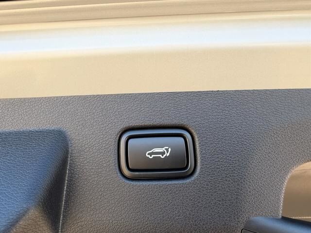 2026 Kia Sportage X-Line Cape Girardeau MO