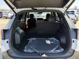 2026 Kia Sportage X-Line Oshkosh WI