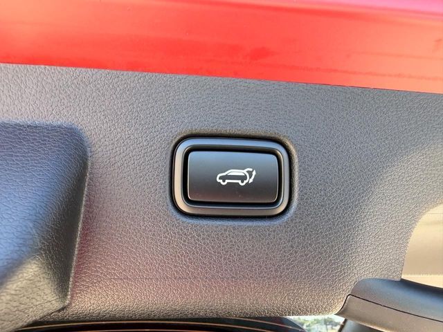 2026 Kia Sportage X-Line Cape Girardeau MO