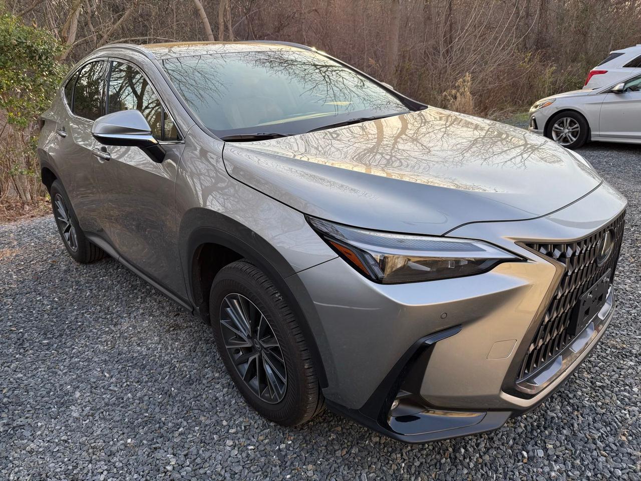 2026 Lexus NX