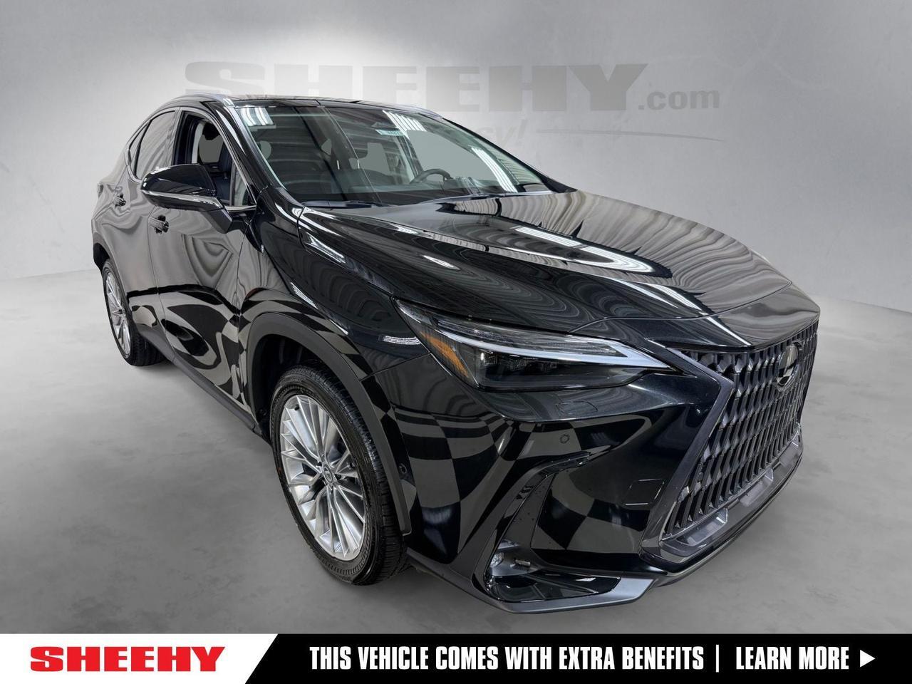 2026 Lexus NX