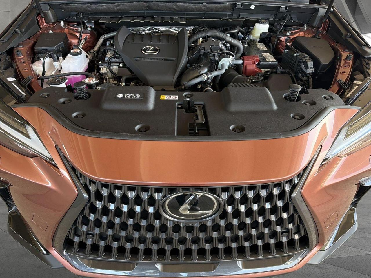 2026 Lexus NX 350 Luxury San Antonio TX