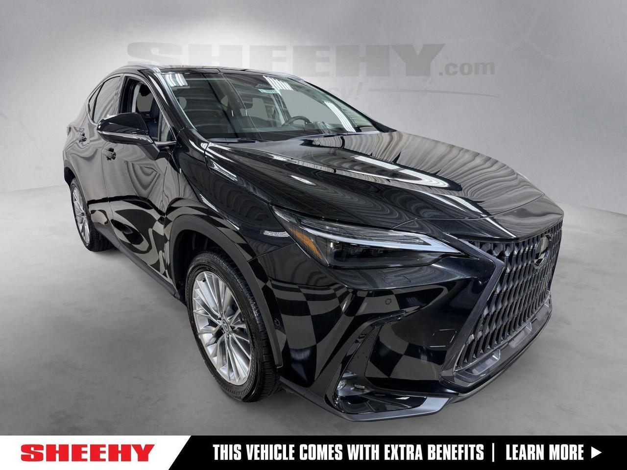 2026 Lexus NX