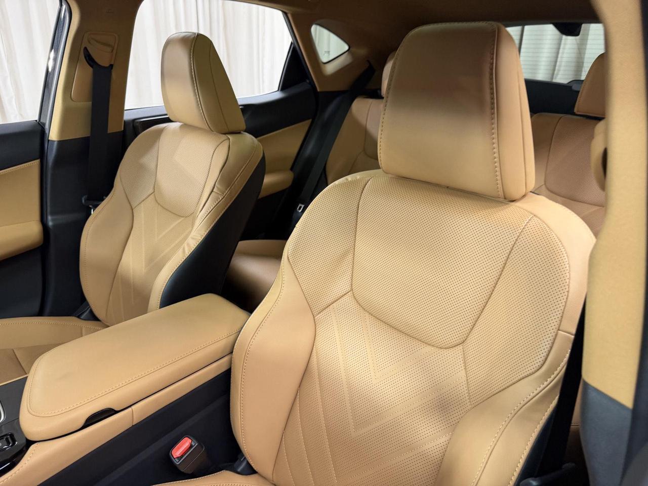 2026 Lexus NX 350 Luxury Annapolis MD