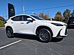 2026 Lexus NX 350 PREMIUM AWD
