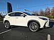 2026 Lexus NX 350 PREMIUM AWD