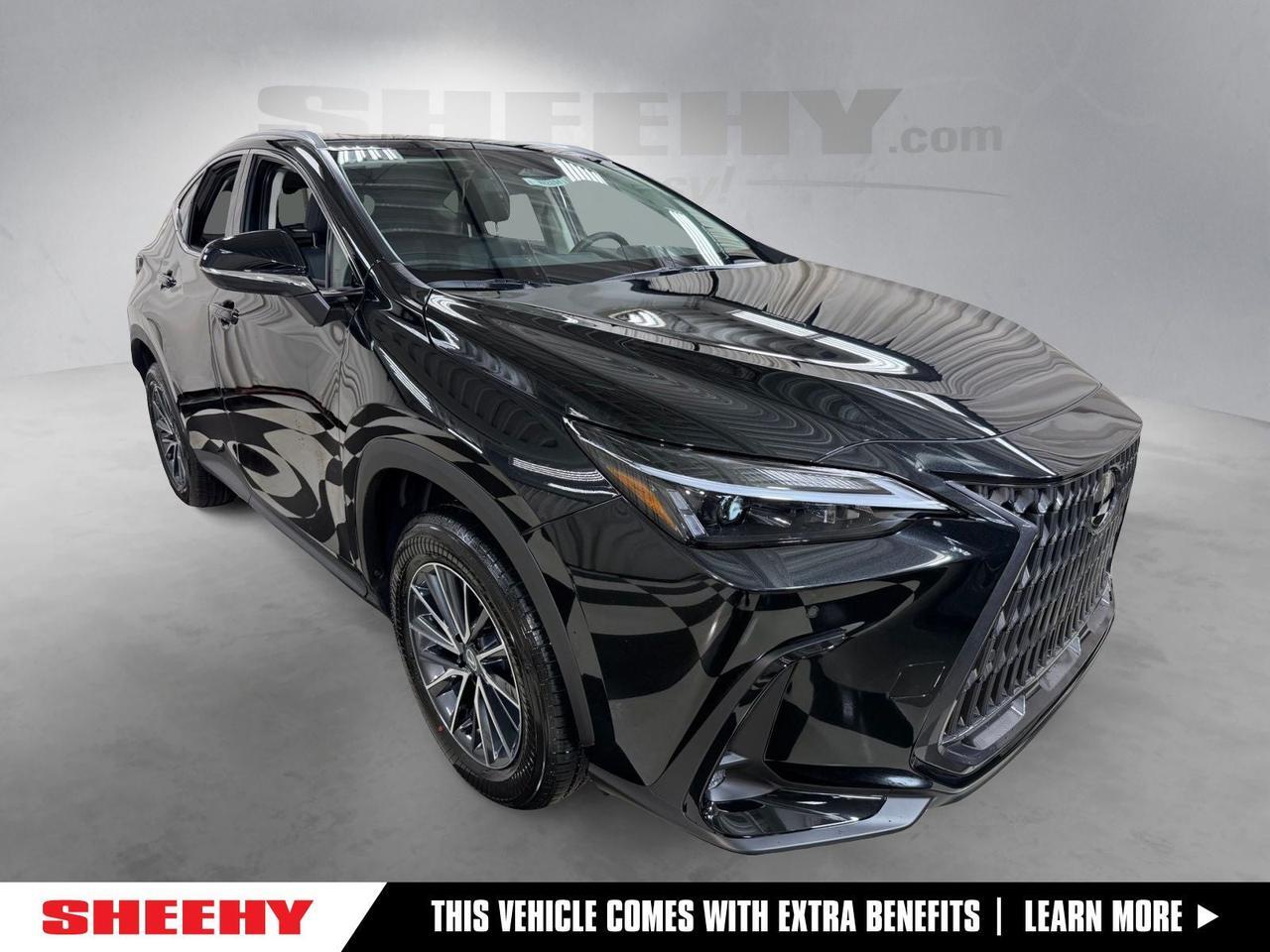 2026 Lexus NX