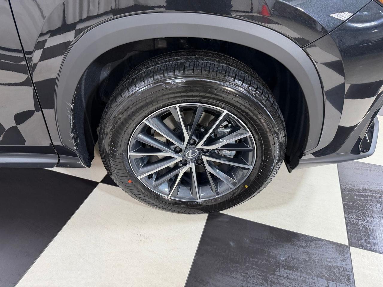 2026 Lexus NX 350 PREMIUM AWD Annapolis MD