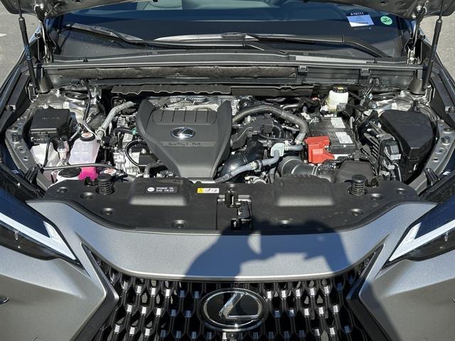 2026 Lexus NX 350 PREMIUM Tucson AZ