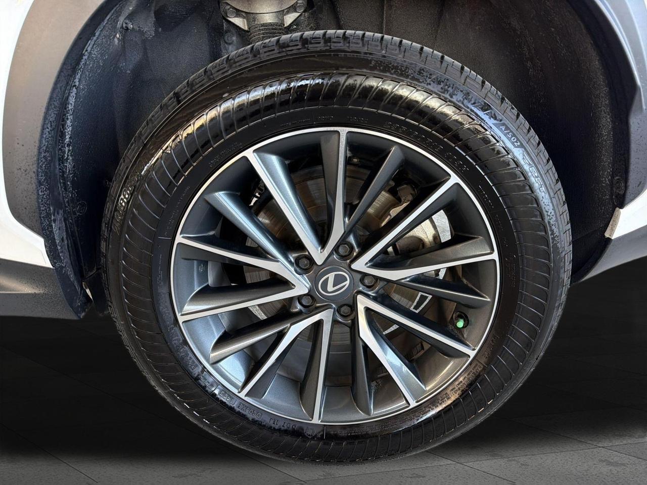 2026 Lexus NX 350 Premium San Antonio TX